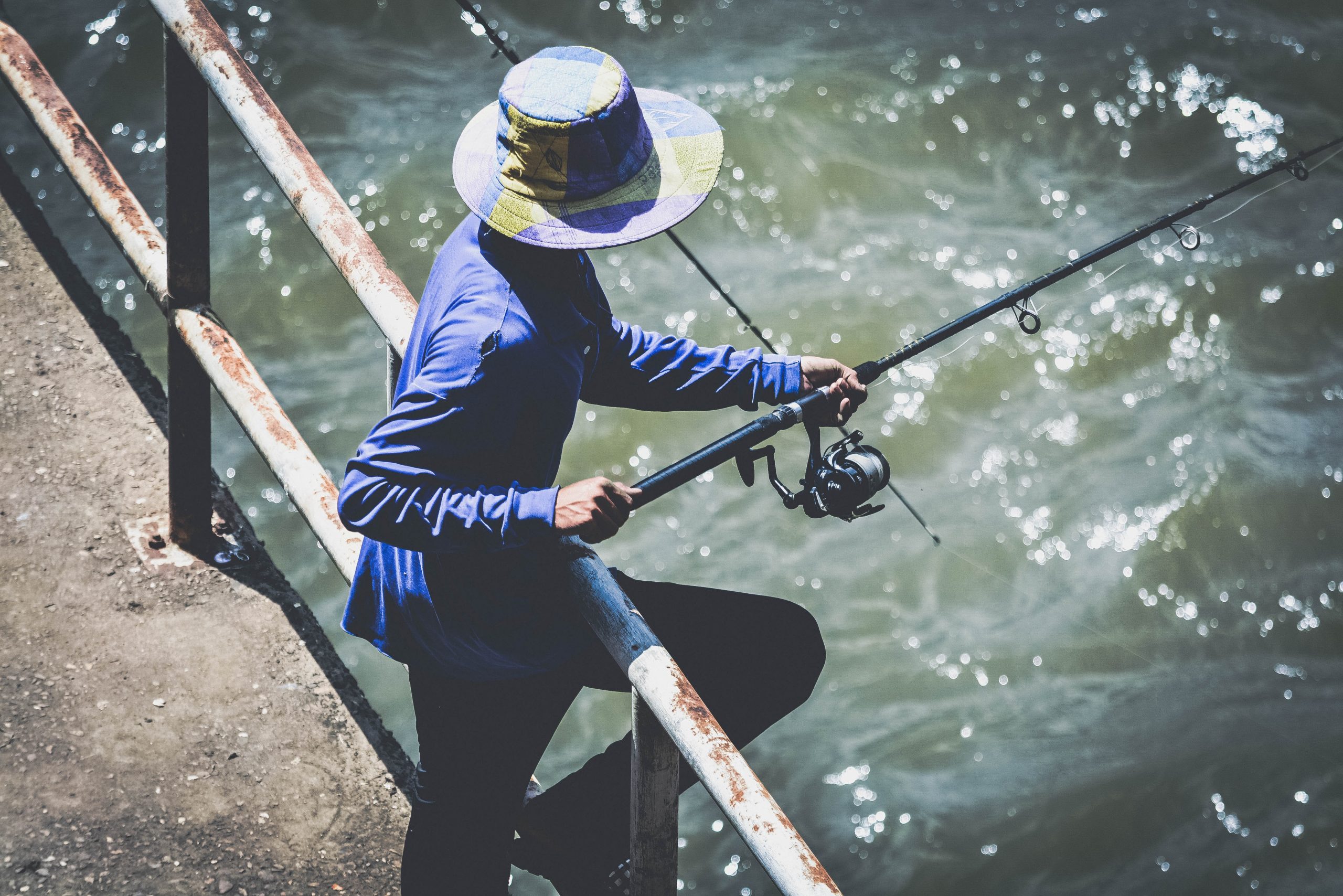 Read more about the article Sådan vælger du en fiskestang: Den komplette guide